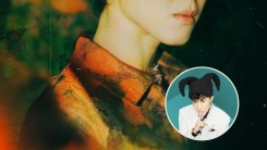 THIS Top 3rd-Gen Idol Slammed for 'Copying' BTS J-Hope + Stans Defend Artist from Plagiarism Accusations