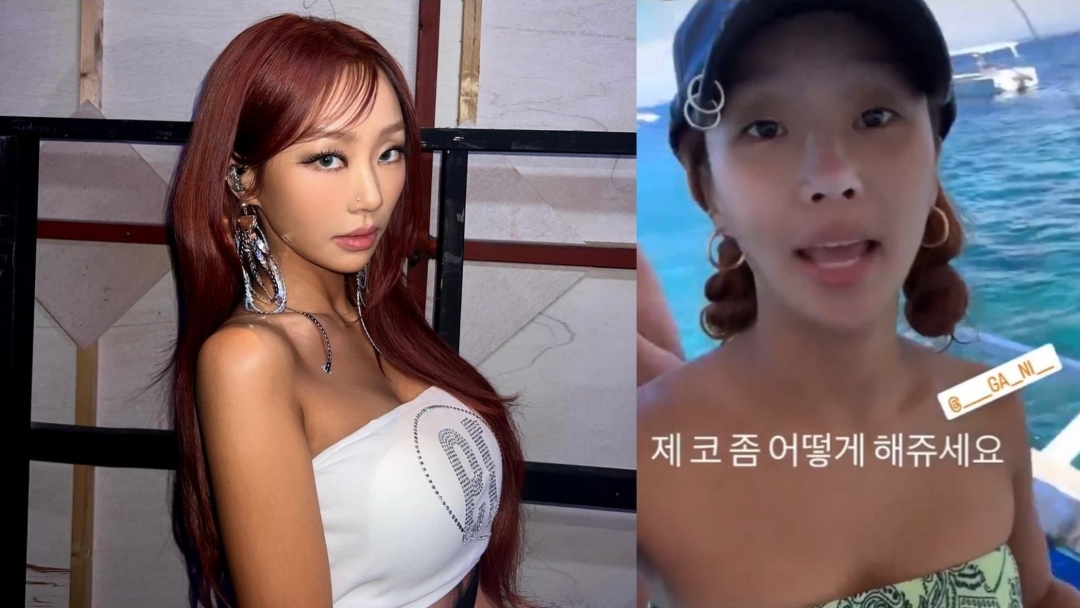 SISTAR19 Hyolyn Faces Backlash for Saying the 'N-Word' on Instagram Post: 'She's embarrassing'