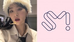 Red Velvet Seulgi Revealed She Waited for SM Entertainment to Cast Her