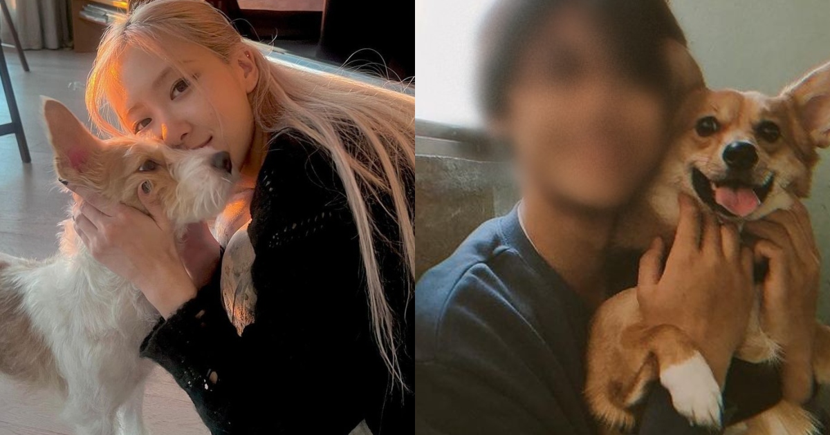 BLACKPINK Rosé Dog Hilariously Wrapped Up in ‘Dating Rumors’ With THIS K-Drama Actor’s Pet