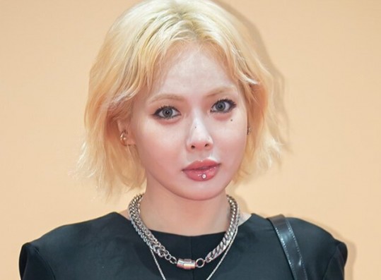 HyunA Loses 630k Instagram Followers After Dating News: ‘The Problem Is Her Boyfriend...'