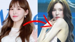 Red Velvet Wendy Visuals Before vs Now: Which Do K-Netz Prefer?