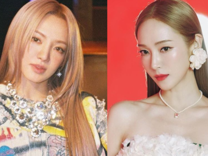 SNSD Hyoyeon Greets Jessica Jung While Talking About Group's Comeback — What Happened?