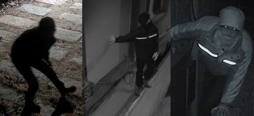 K-Netz Suspect THIS Idol as 'Thief' Who Broke Into Late Goo Hara's House