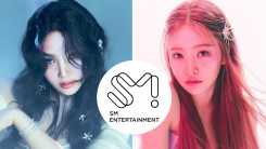 Joy, Yeri Snipe at SM Entertainment After Red Velvet's Comeback MV Delay – What Happened?