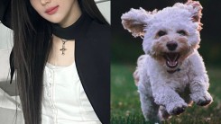 THIS Fifth-Gen Female Idol Goes Viral For Being Able To 'Speak' To Dogs