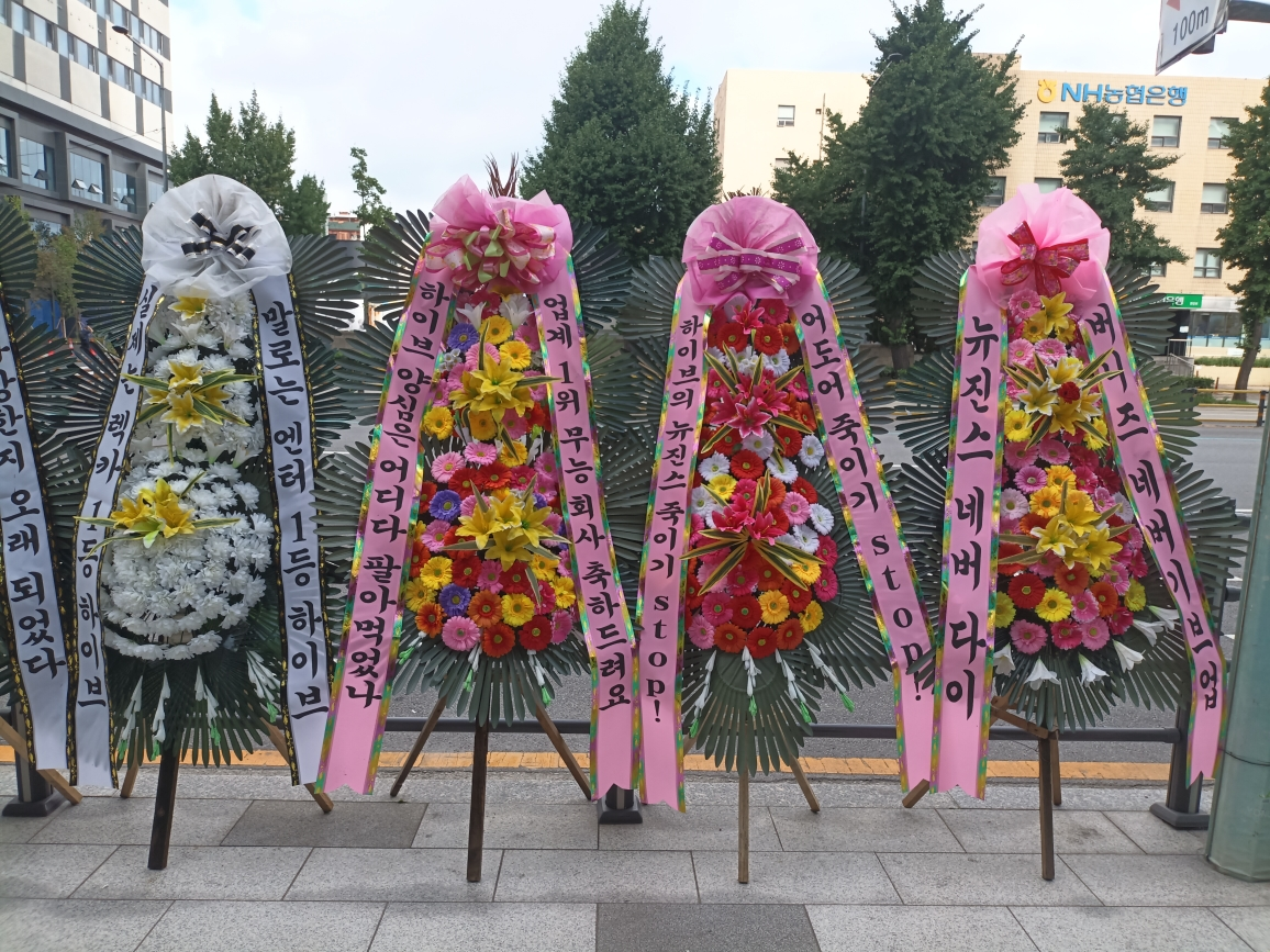 NewJeans Fandom Bunnies Protest Against HYBE By Sending Flower Wreaths: 'End The Multi-Label System'