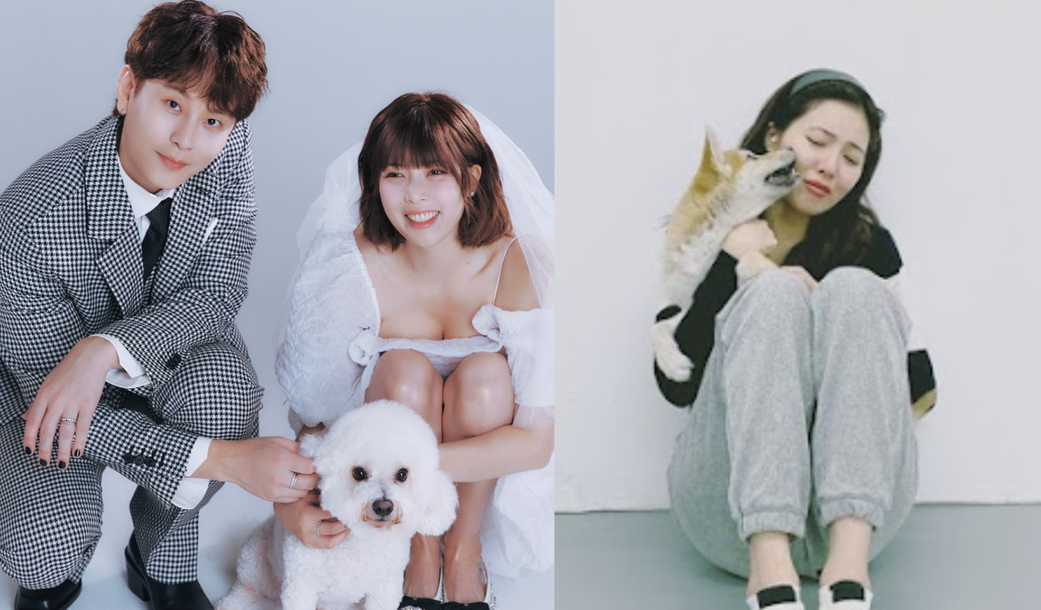 HyunA Accused of Abandoning Rescue Dog, Netizens Defend Idol With THIS Explanation