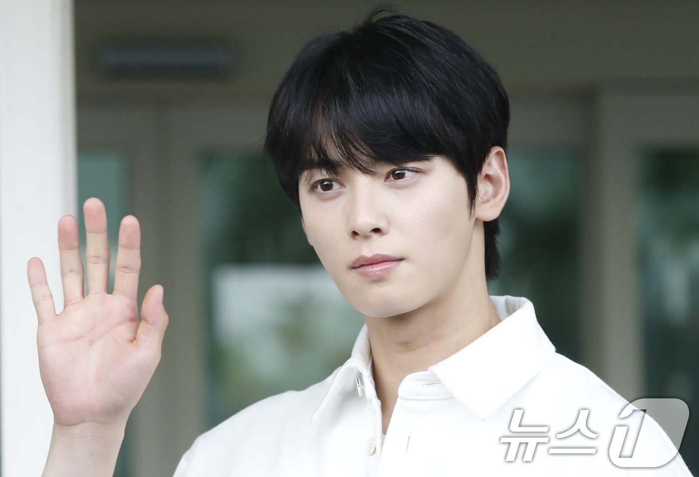 Cha Eun-woo's Charming Artistry