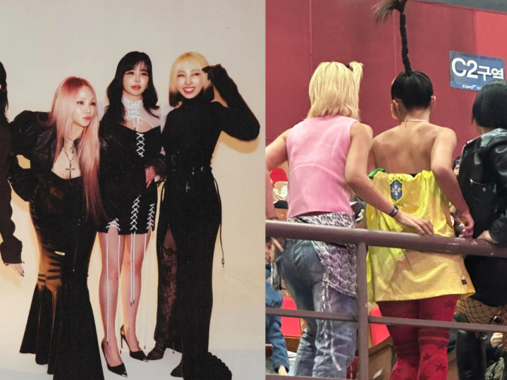 'Street Woman Fighter' Dancers, THIS Idol Cosplay 2NE1 During Group's Seoul Concert